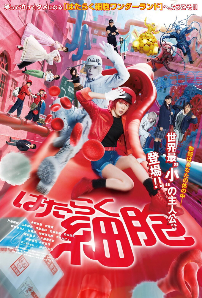 Cells at Work!