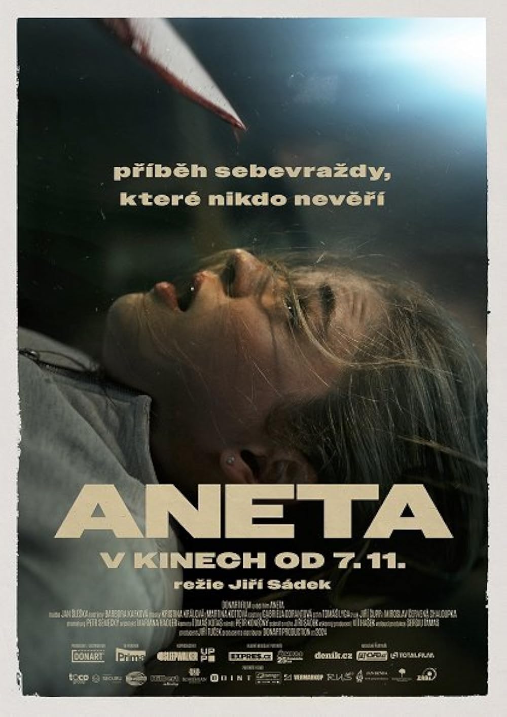 Download Movie Aneta