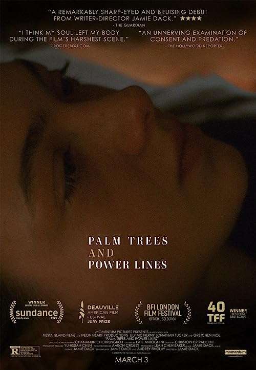 Download Movie Palm Trees and Power Lines