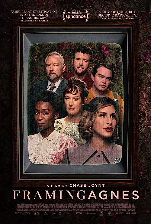 Download Movie Framing Agnes