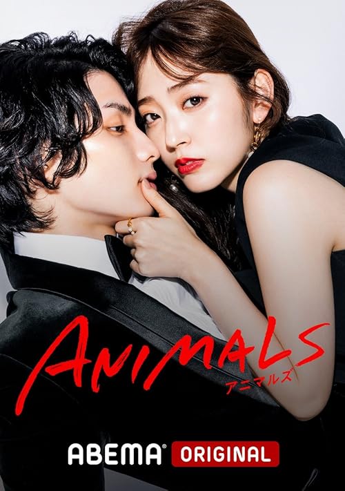 Download Series Animals