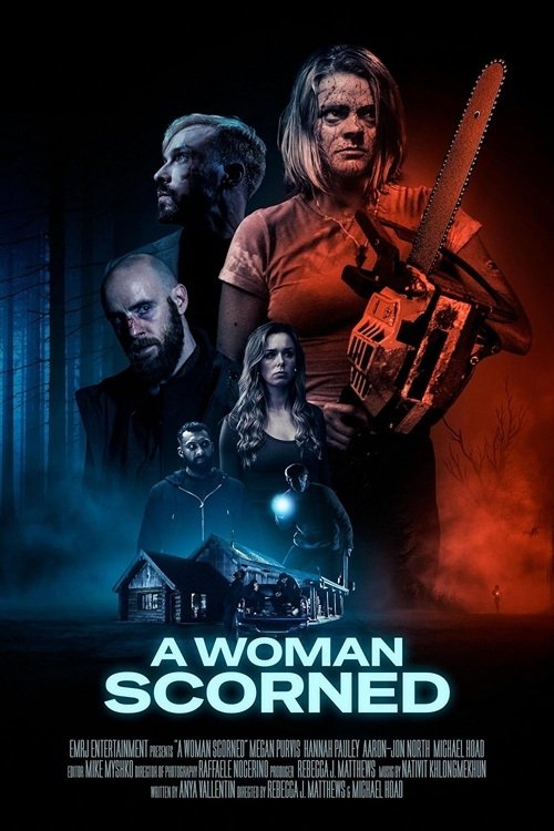 Download Movie  A Woman Scorned 2025