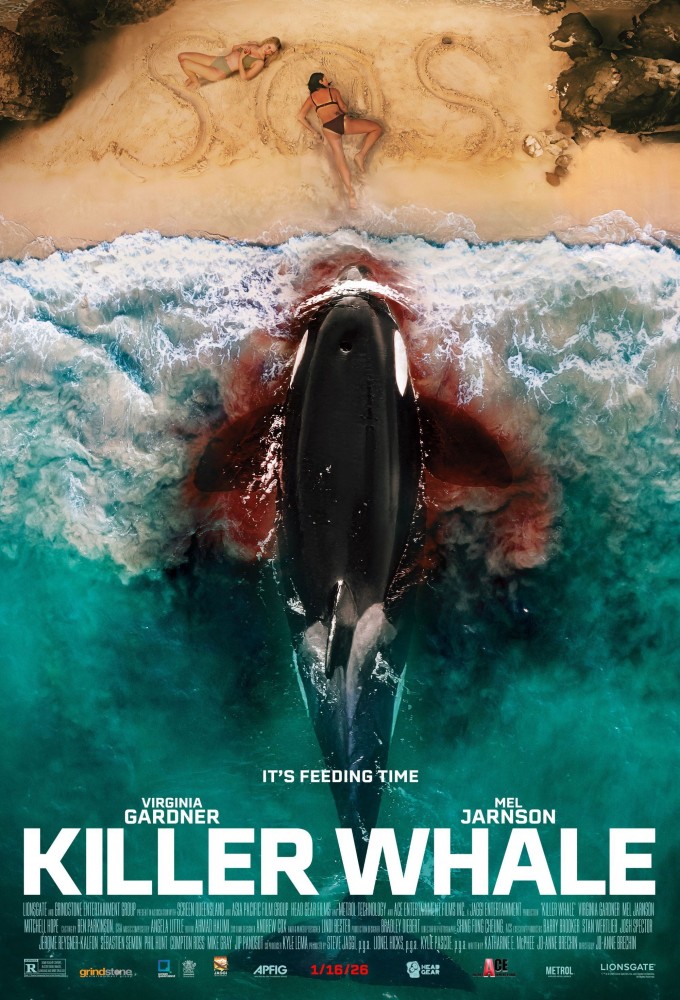 Killer Whale 2026