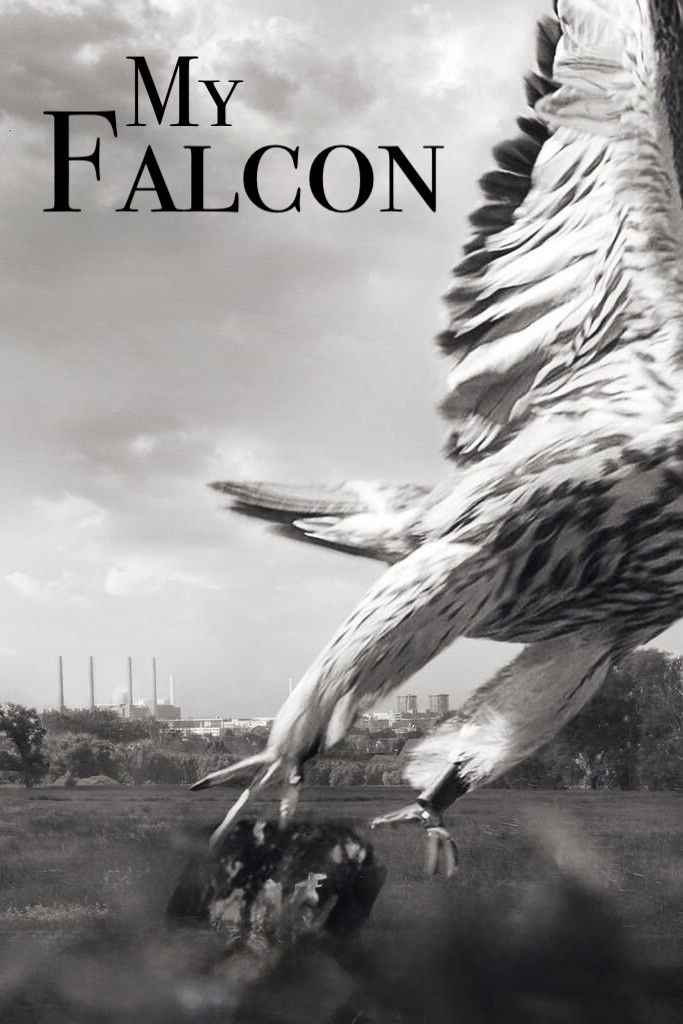 Download Movie Mein Falke(My Falcon) 2023