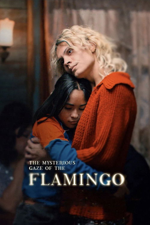 Download Movie The Mysterious Gaze of the Flamingo