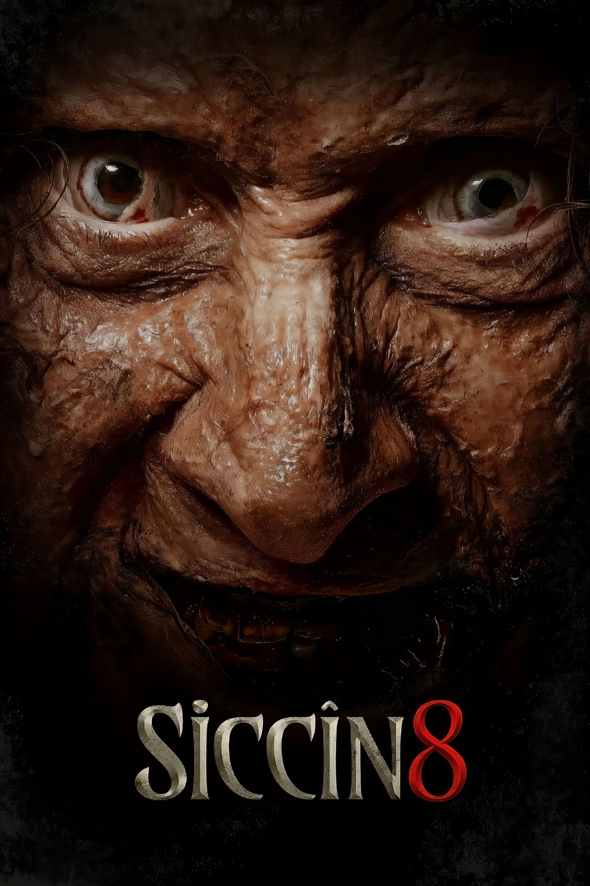 Siccin 8 2025