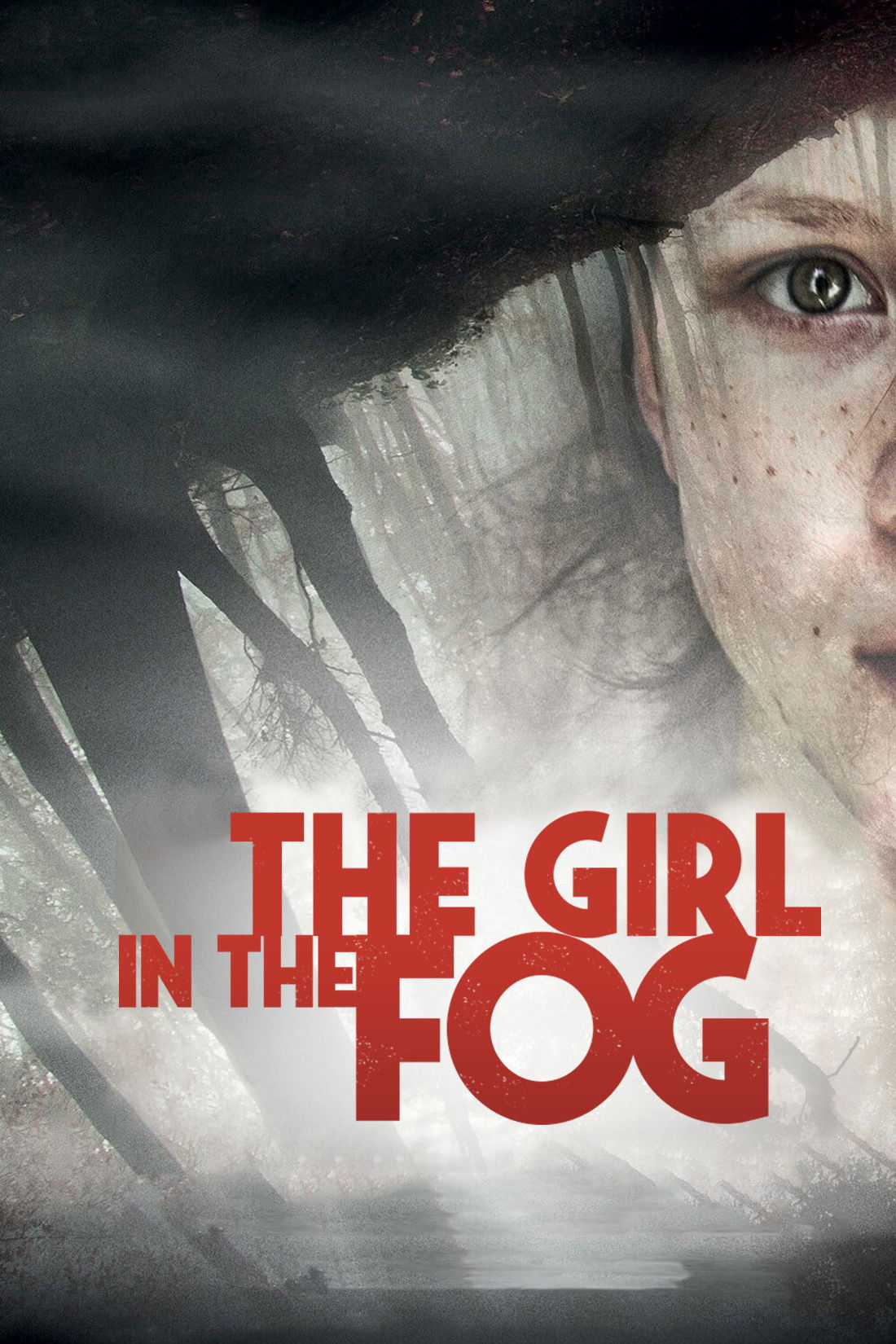  The Girl in the Fog (La ragazza nella nebbia) 2017 